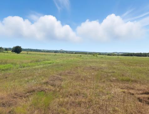 TBD-196.5 Acres Fm 116 Road Gatesville TX 76528