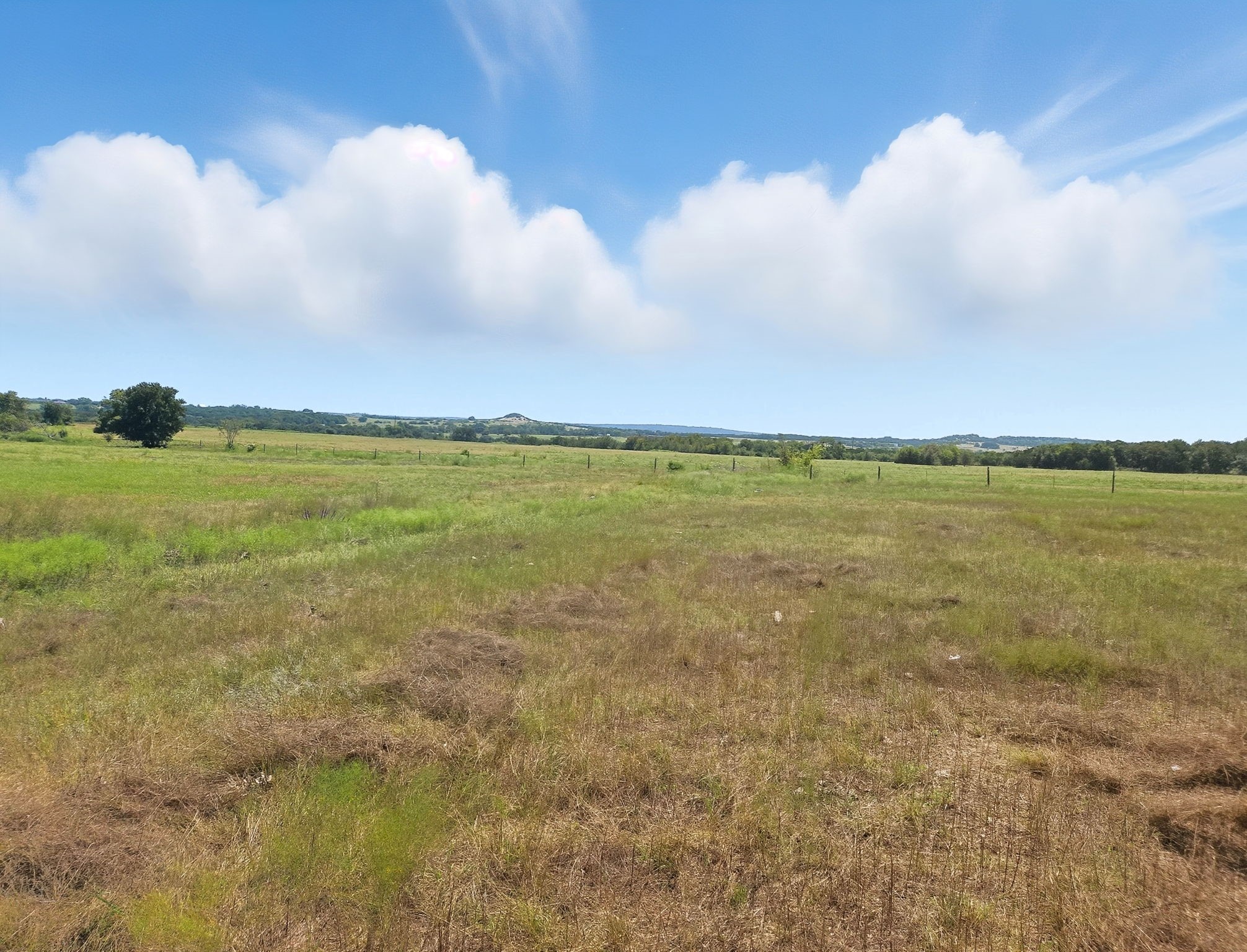 TBD-196.5 Acres Fm 116 Road Gatesville TX 76528
