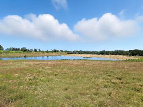 TBD-196.5 Acres Fm 116 Road Gatesville TX 76528