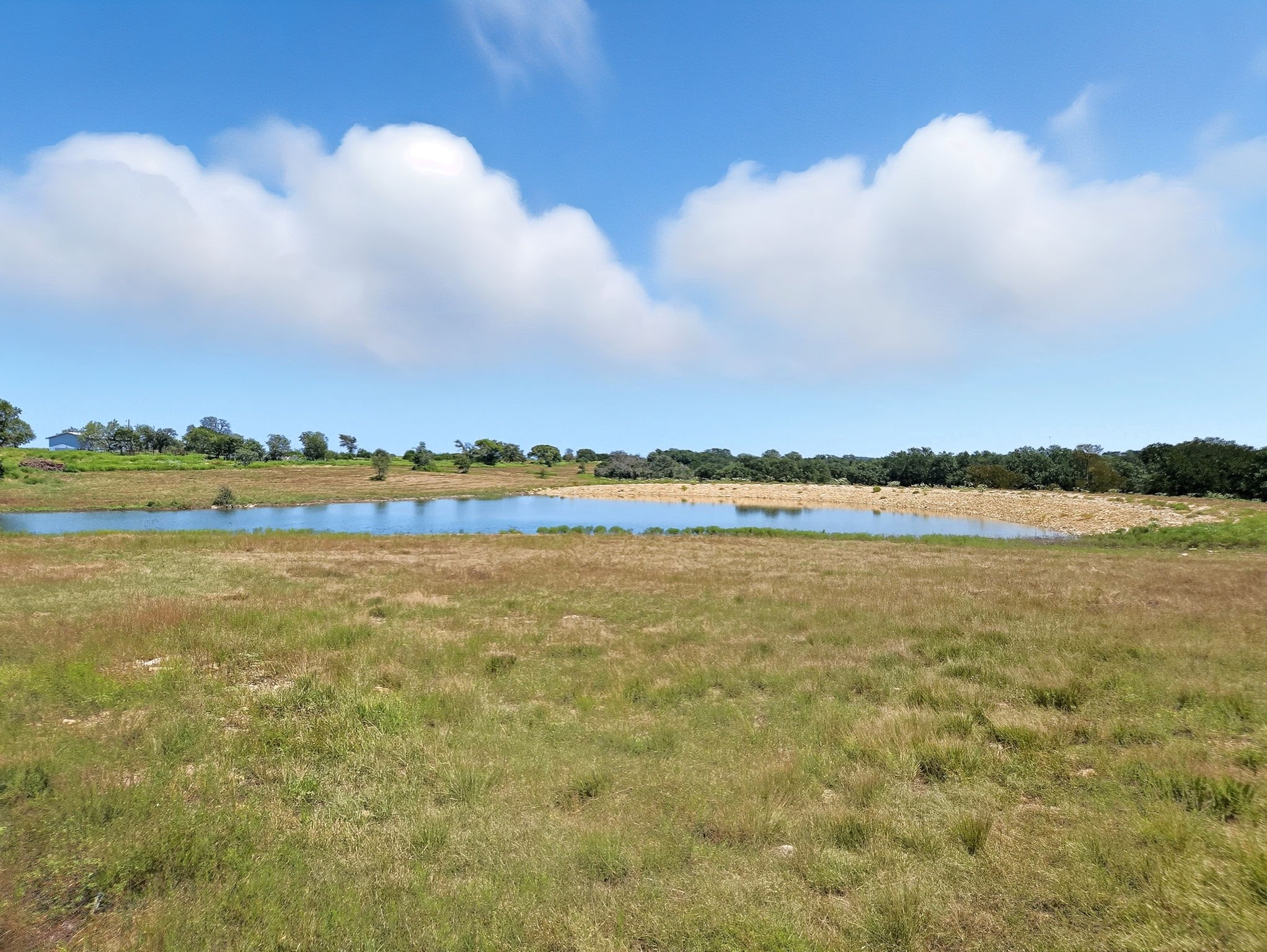 TBD-196.5 Acres Fm 116 Road Gatesville TX 76528