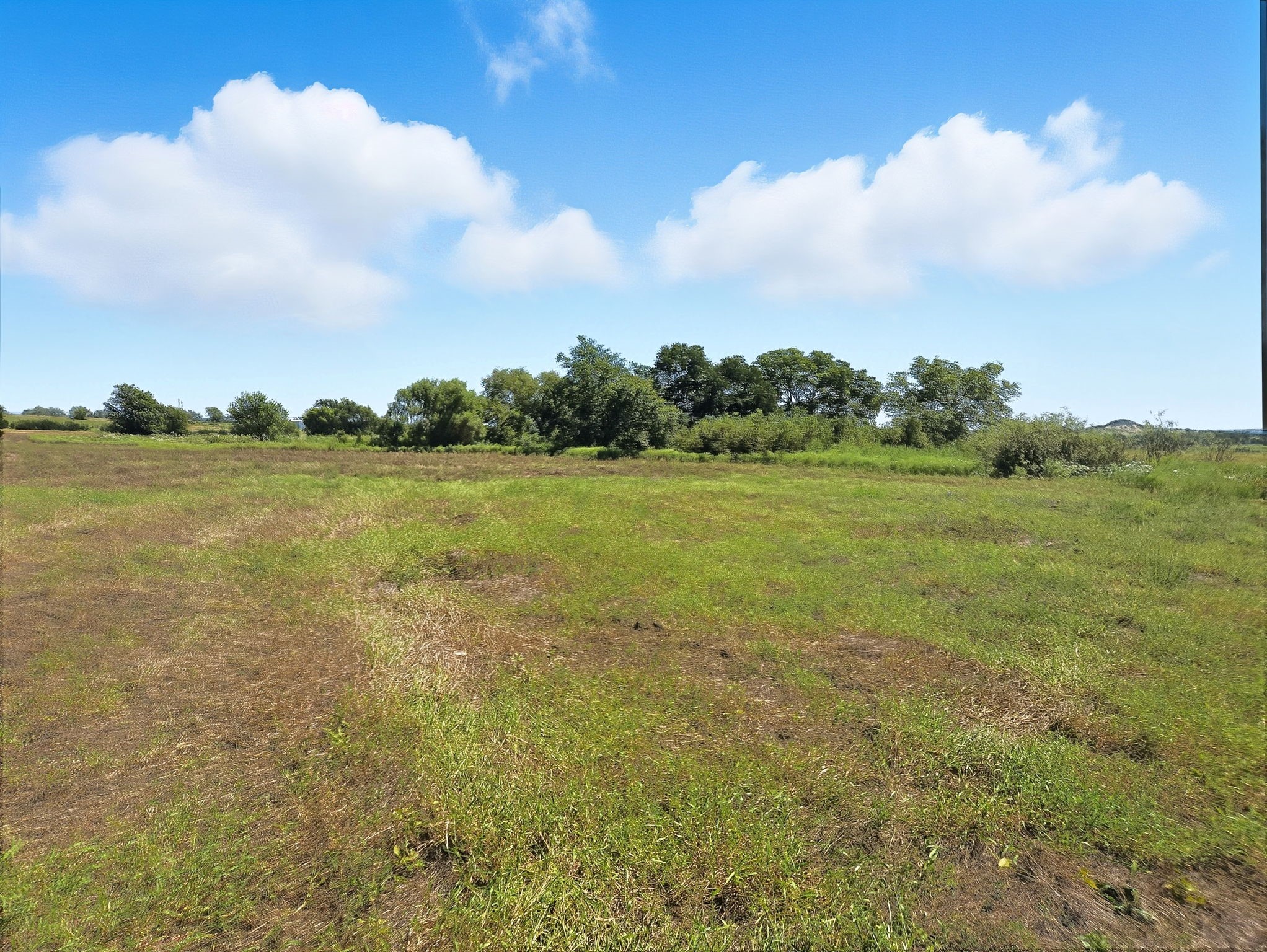 TBD-196.5 Acres Fm 116 Road Gatesville TX 76528