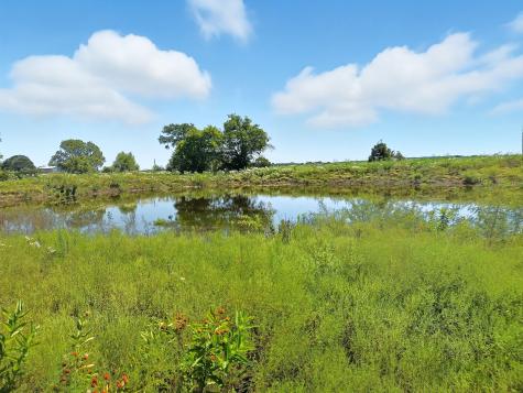TBD-196.5 Acres Fm 116 Road Gatesville TX 76528