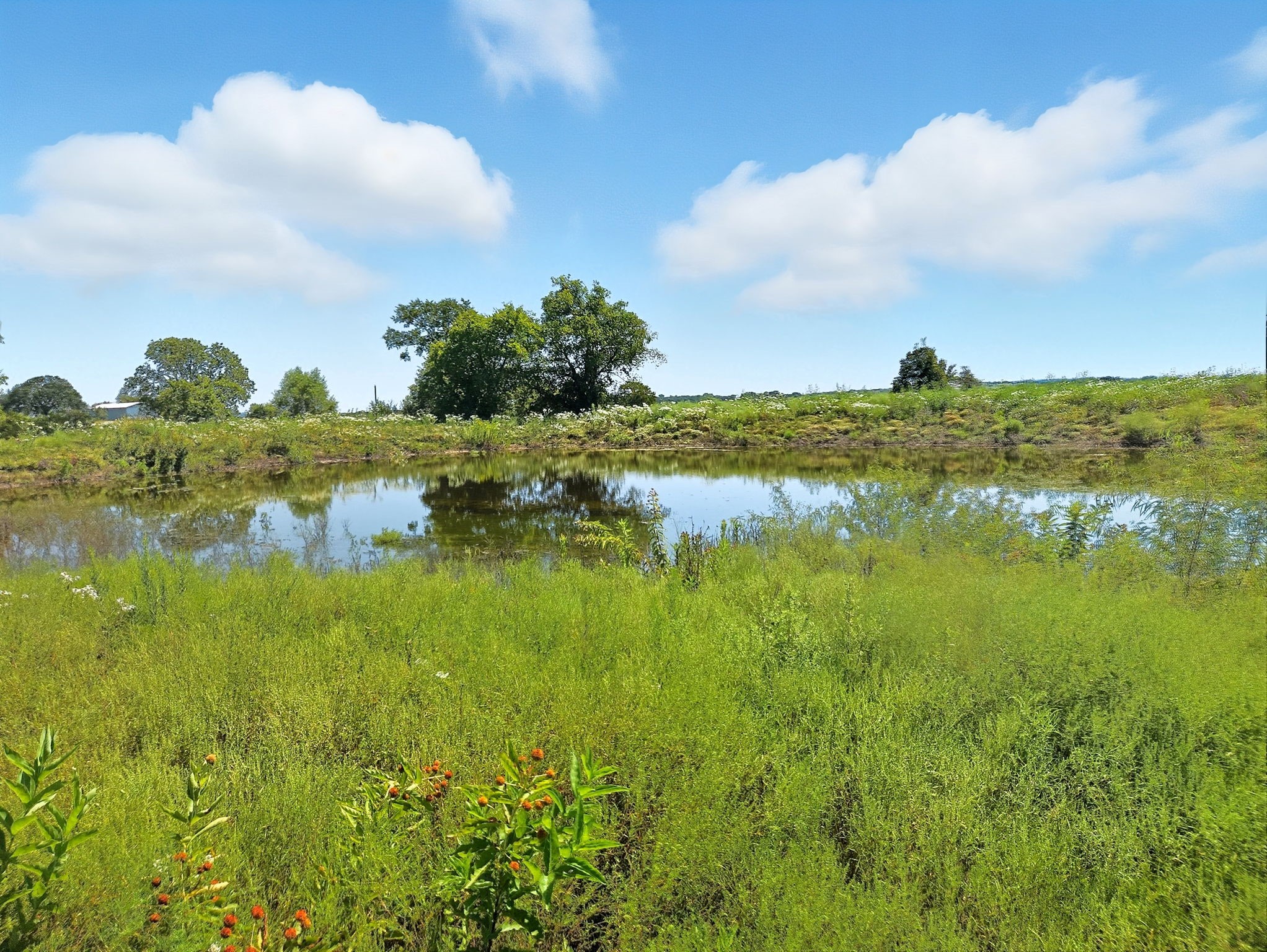 TBD-196.5 Acres Fm 116 Road Gatesville TX 76528
