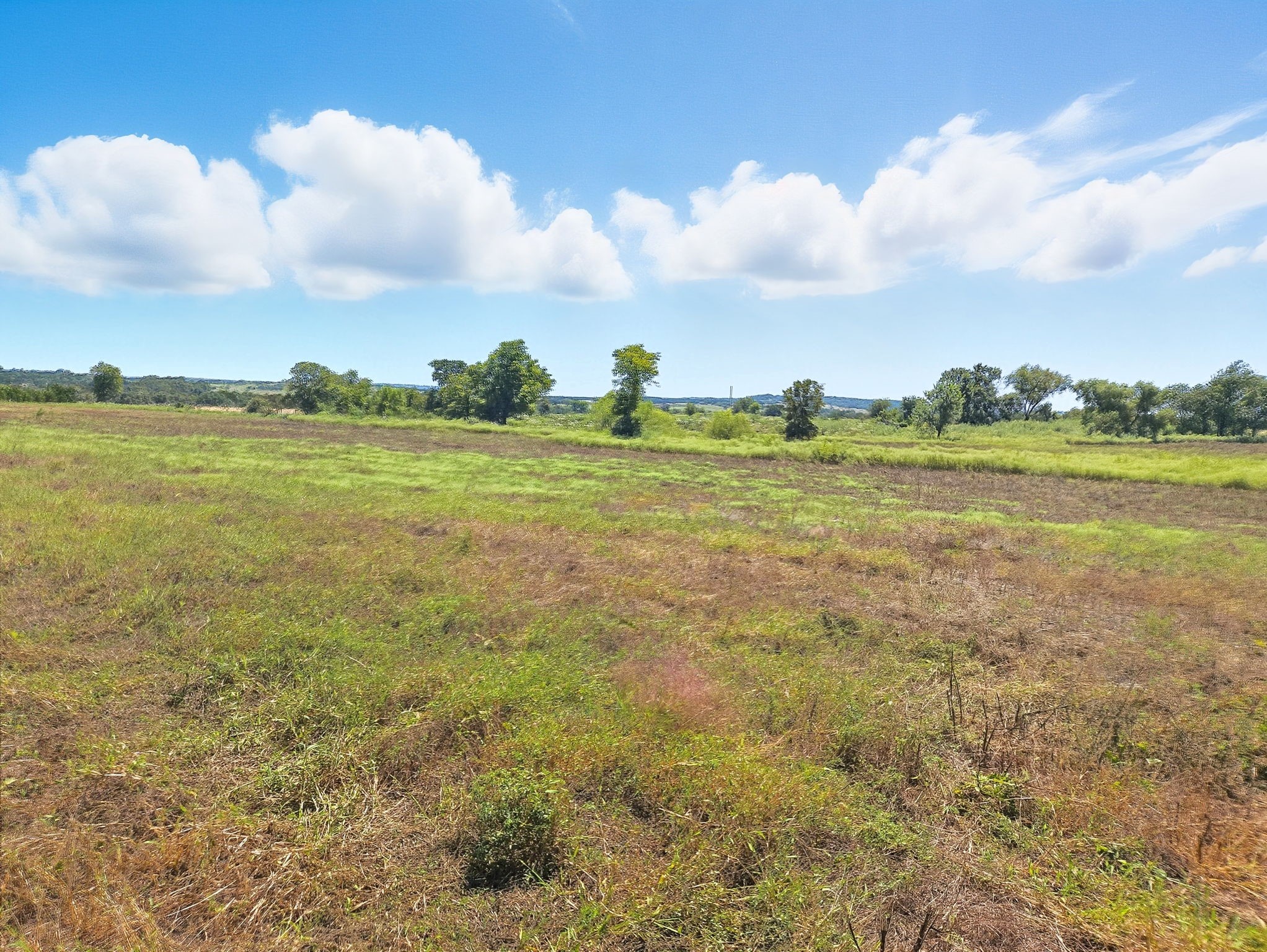 TBD-196.5 Acres Fm 116 Road Gatesville TX 76528