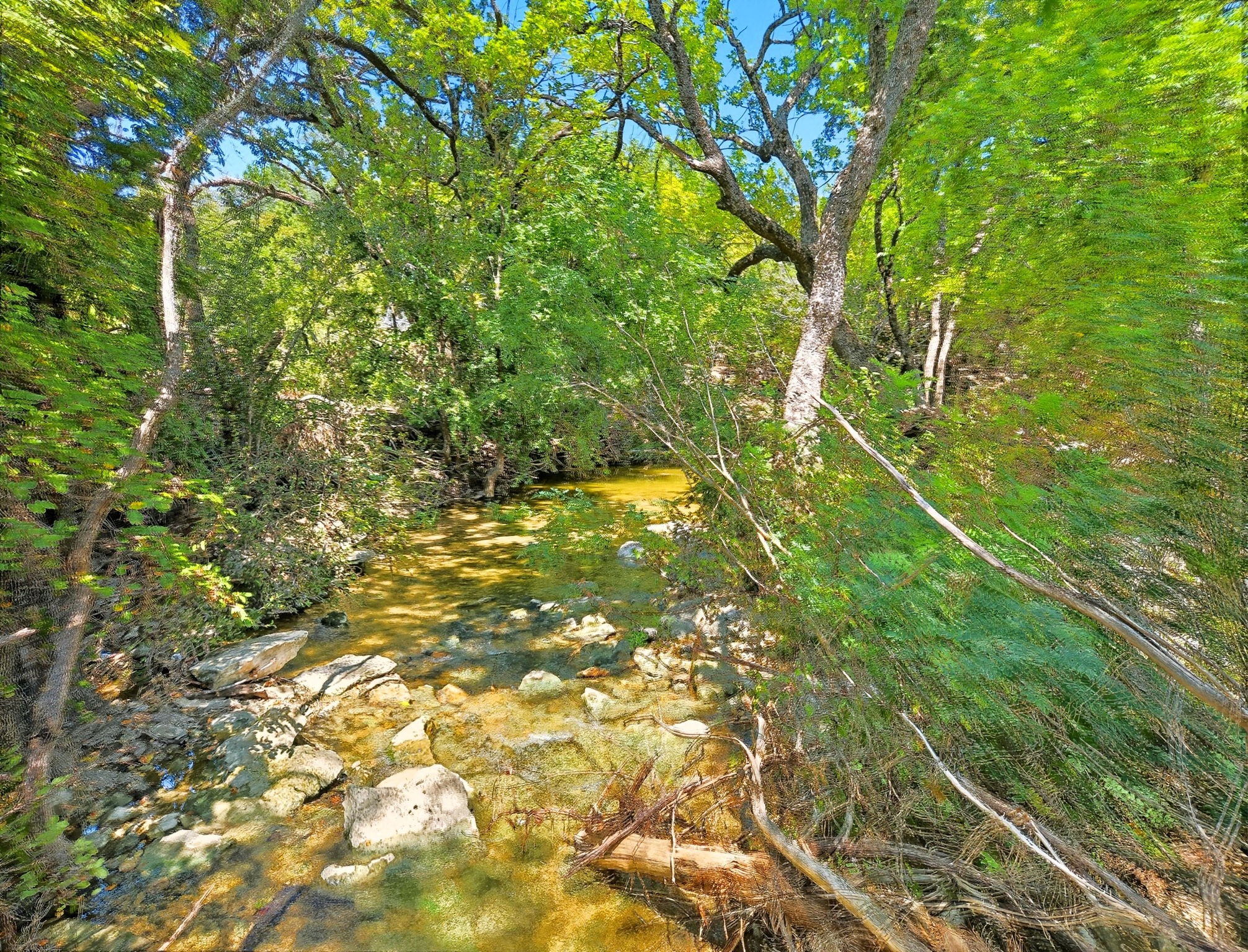 TBD-196.5 Acres Fm 116 Road Gatesville TX 76528