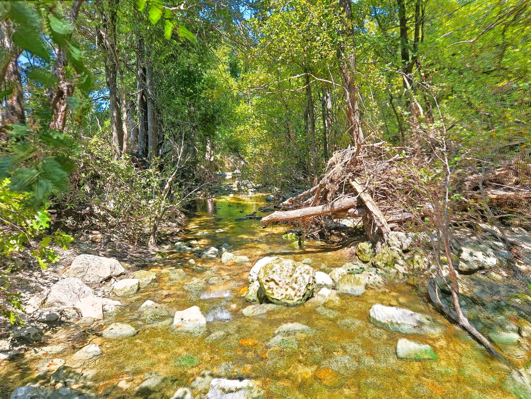 TBD-196.5 Acres Fm 116 Road Gatesville TX 76528