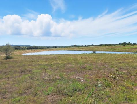 TBD-196.5 Acres Fm 116 Road Gatesville TX 76528