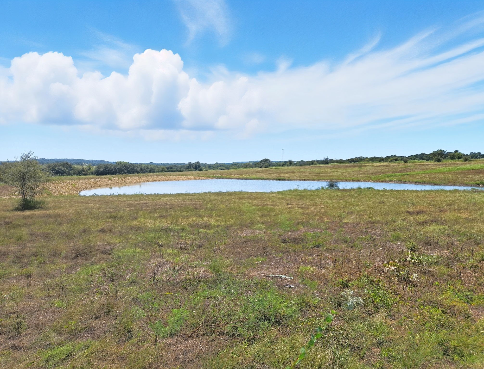 TBD-196.5 Acres Fm 116 Road Gatesville TX 76528