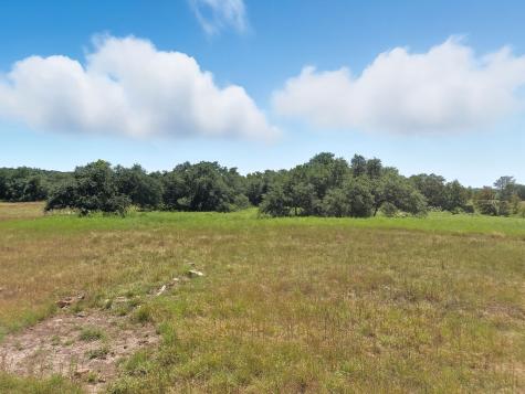 TBD-196.5 Acres Fm 116 Road Gatesville TX 76528