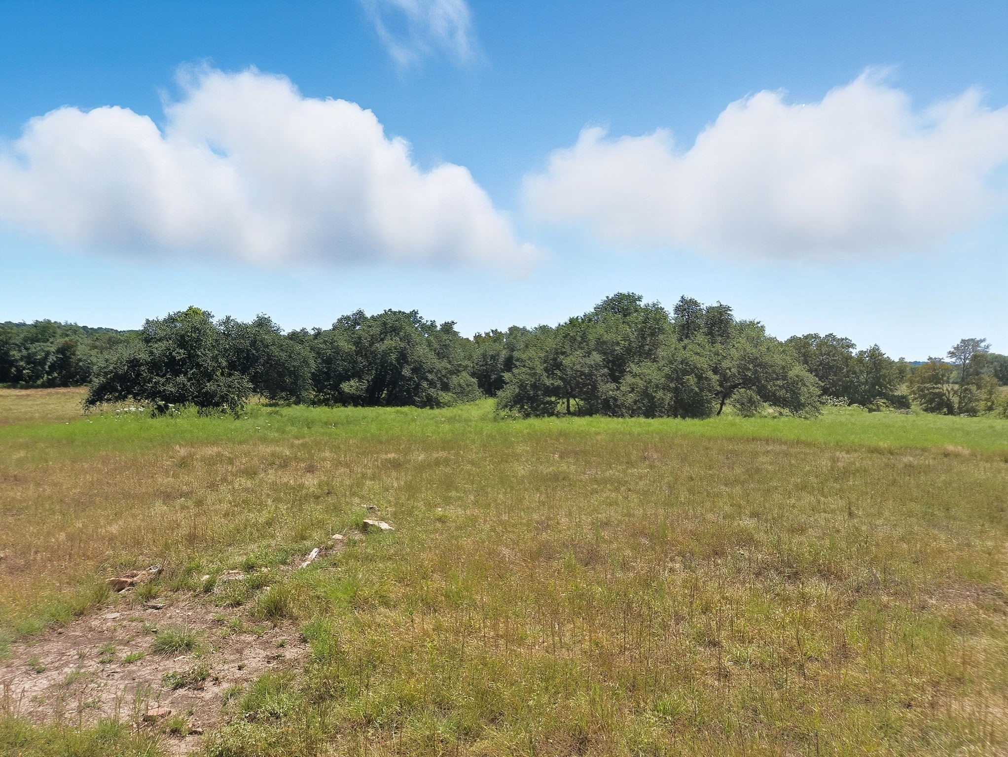 TBD-196.5 Acres Fm 116 Road Gatesville TX 76528