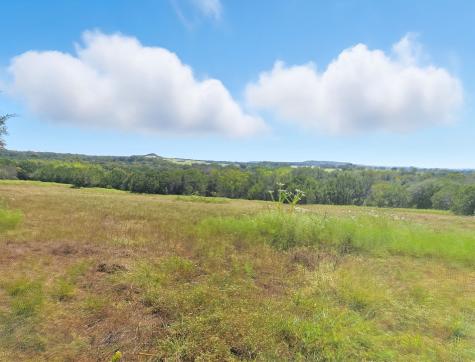 TBD-196.5 Acres Fm 116 Road Gatesville TX 76528