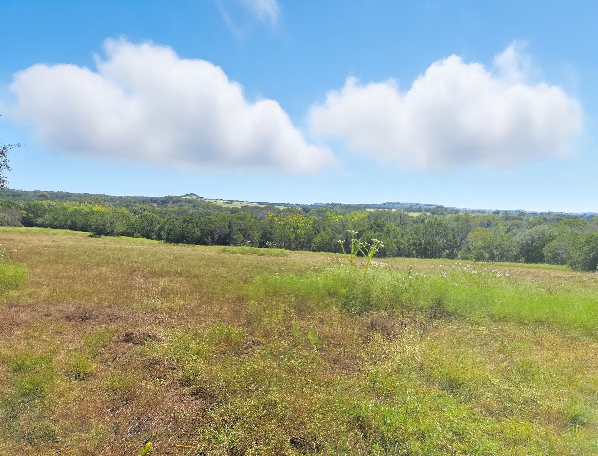TBD-196.5 Acres Fm 116 Road Gatesville TX 76528