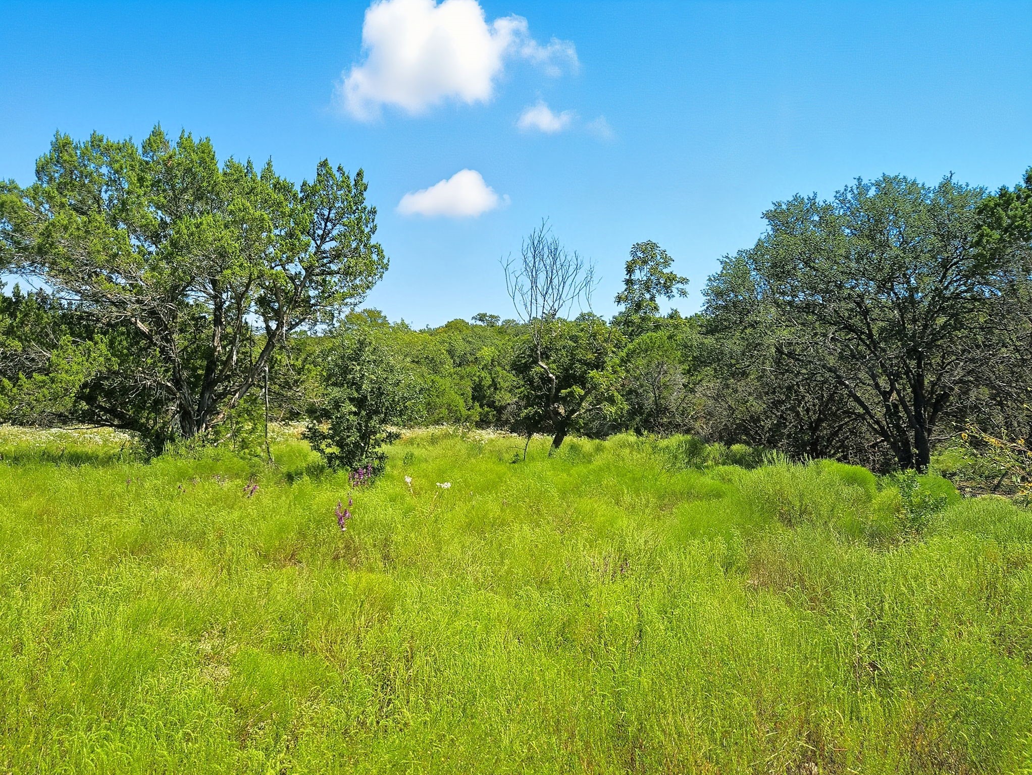 TBD-196.5 Acres Fm 116 Road Gatesville TX 76528