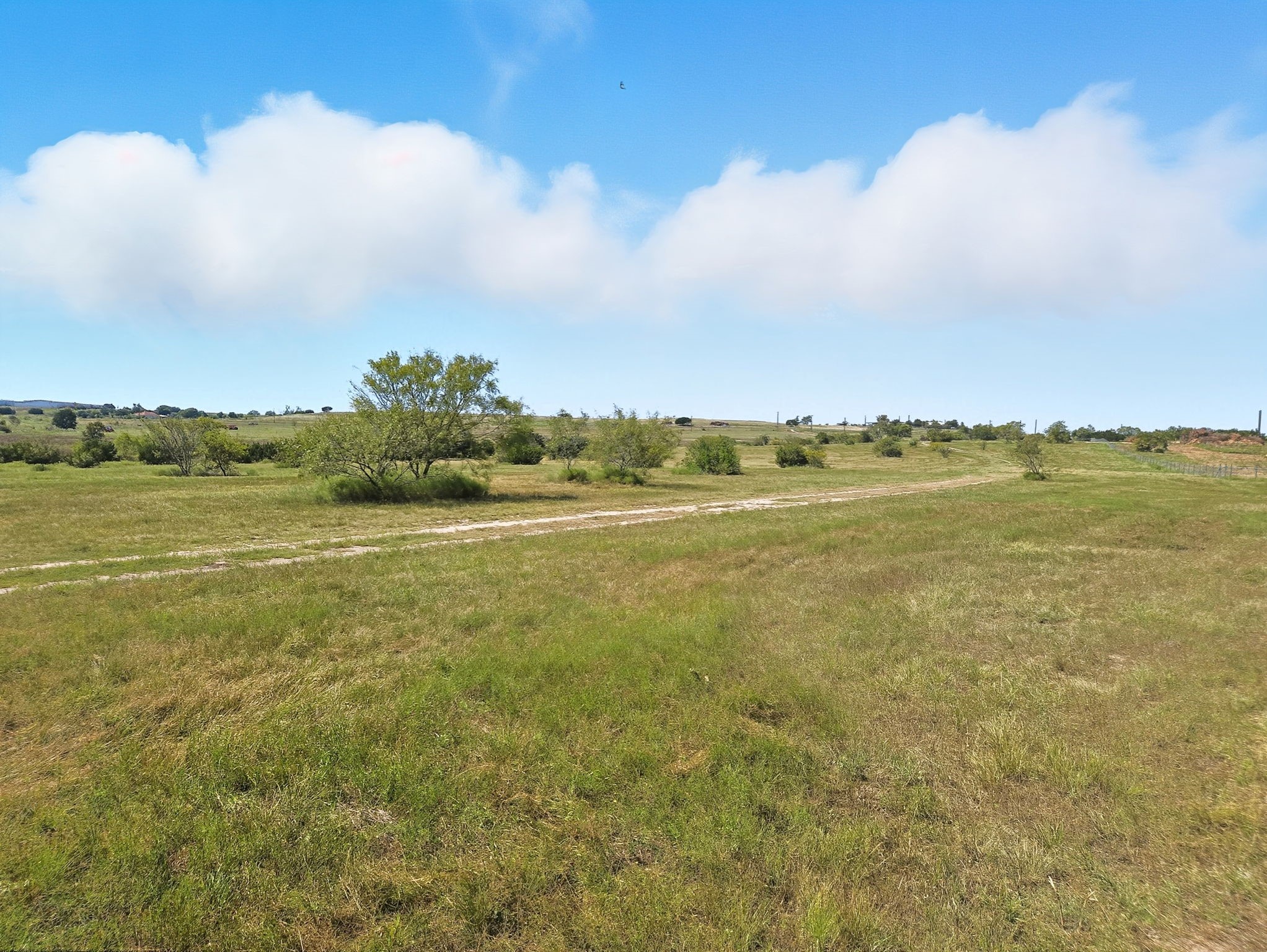 TBD-196.5 Acres Fm 116 Road Gatesville TX 76528