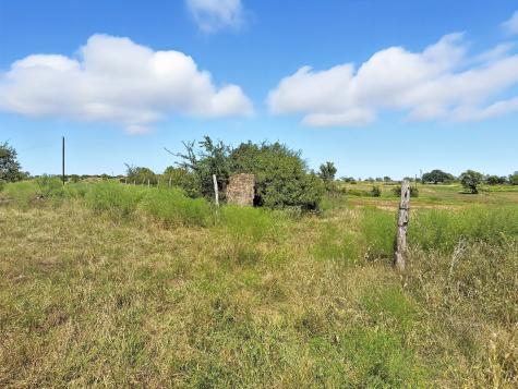 TBD-196.5 Acres Fm 116 Road Gatesville TX 76528