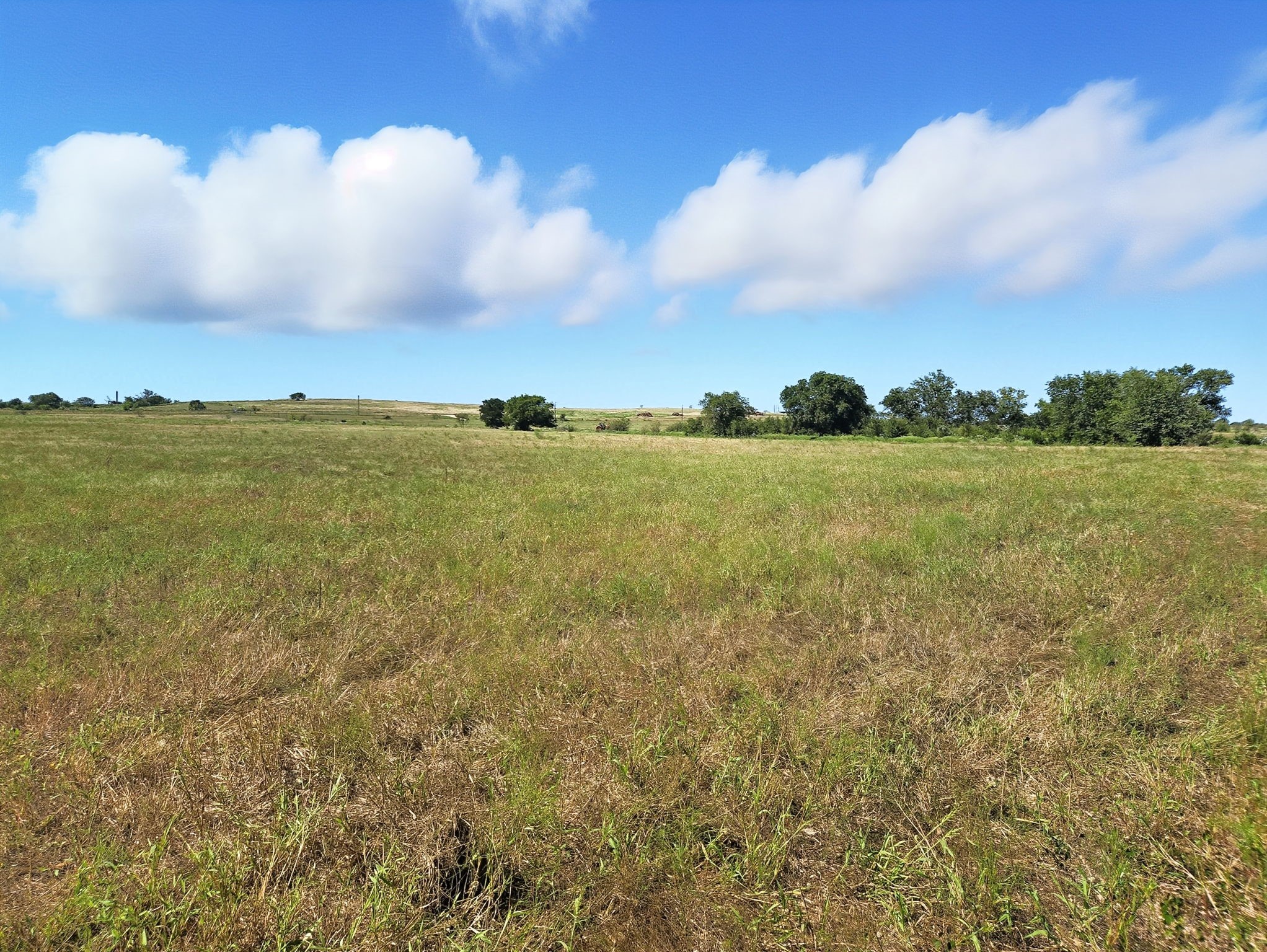TBD-196.5 Acres Fm 116 Road Gatesville TX 76528