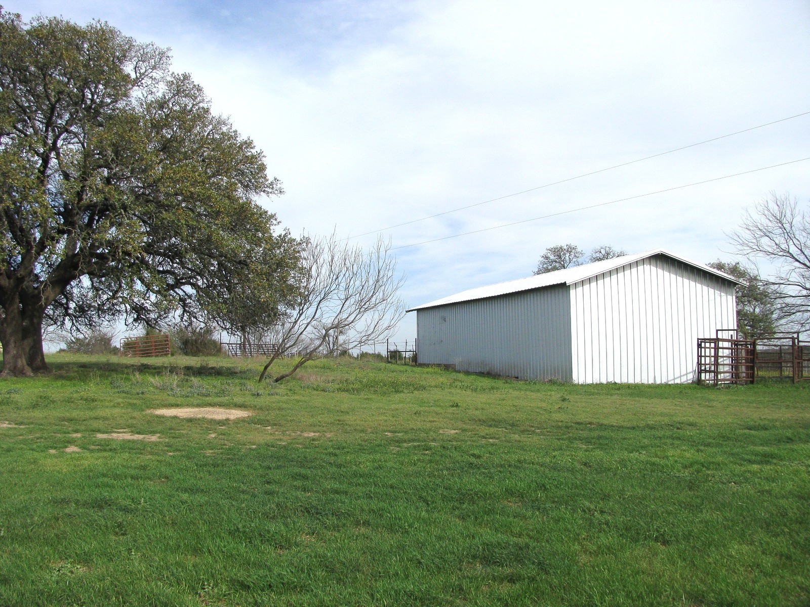 TBD-196.5 Acres Fm 116 Road Gatesville TX 76528