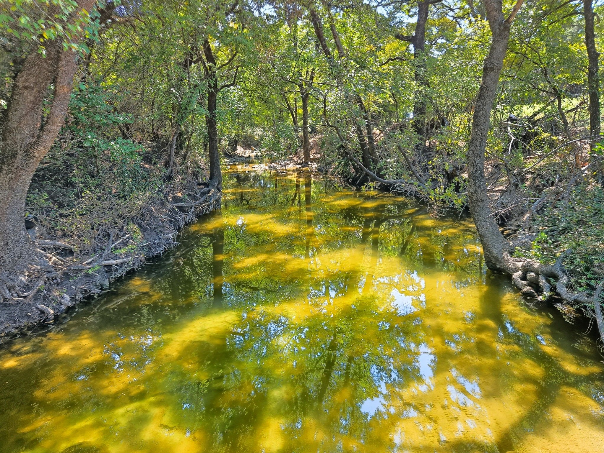 TBD-196.5 Acres Fm 116 Road Gatesville TX 76528