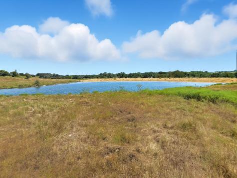 TBD-196.5 Acres Fm 116 Road Gatesville TX 76528