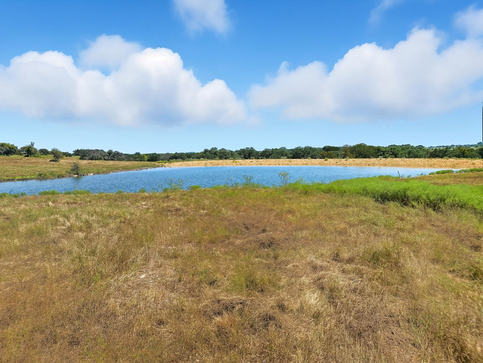 TBD-196.5 Acres Fm 116 Road Gatesville TX 76528