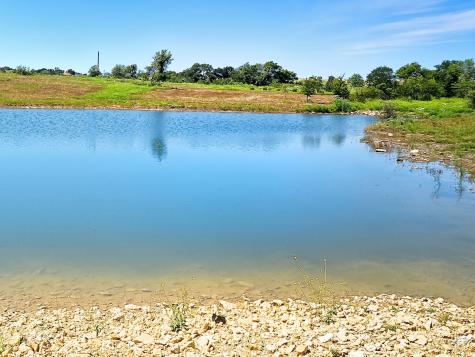 TBD-196.5 Acres Fm 116 Road Gatesville TX 76528