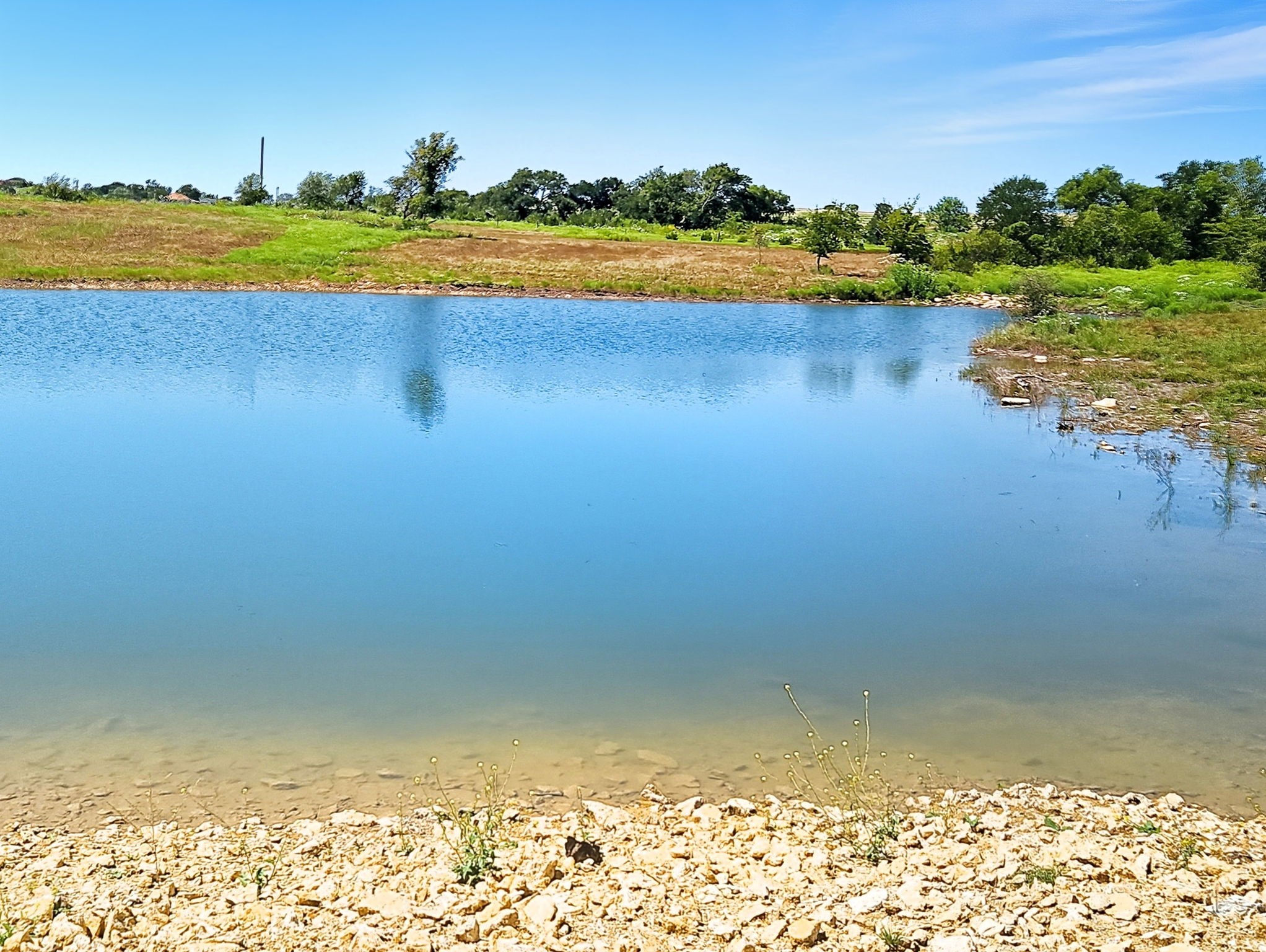 TBD-196.5 Acres Fm 116 Road Gatesville TX 76528