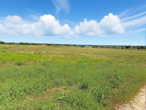 TBD-196.5 Acres Fm 116 Road Gatesville TX 76528