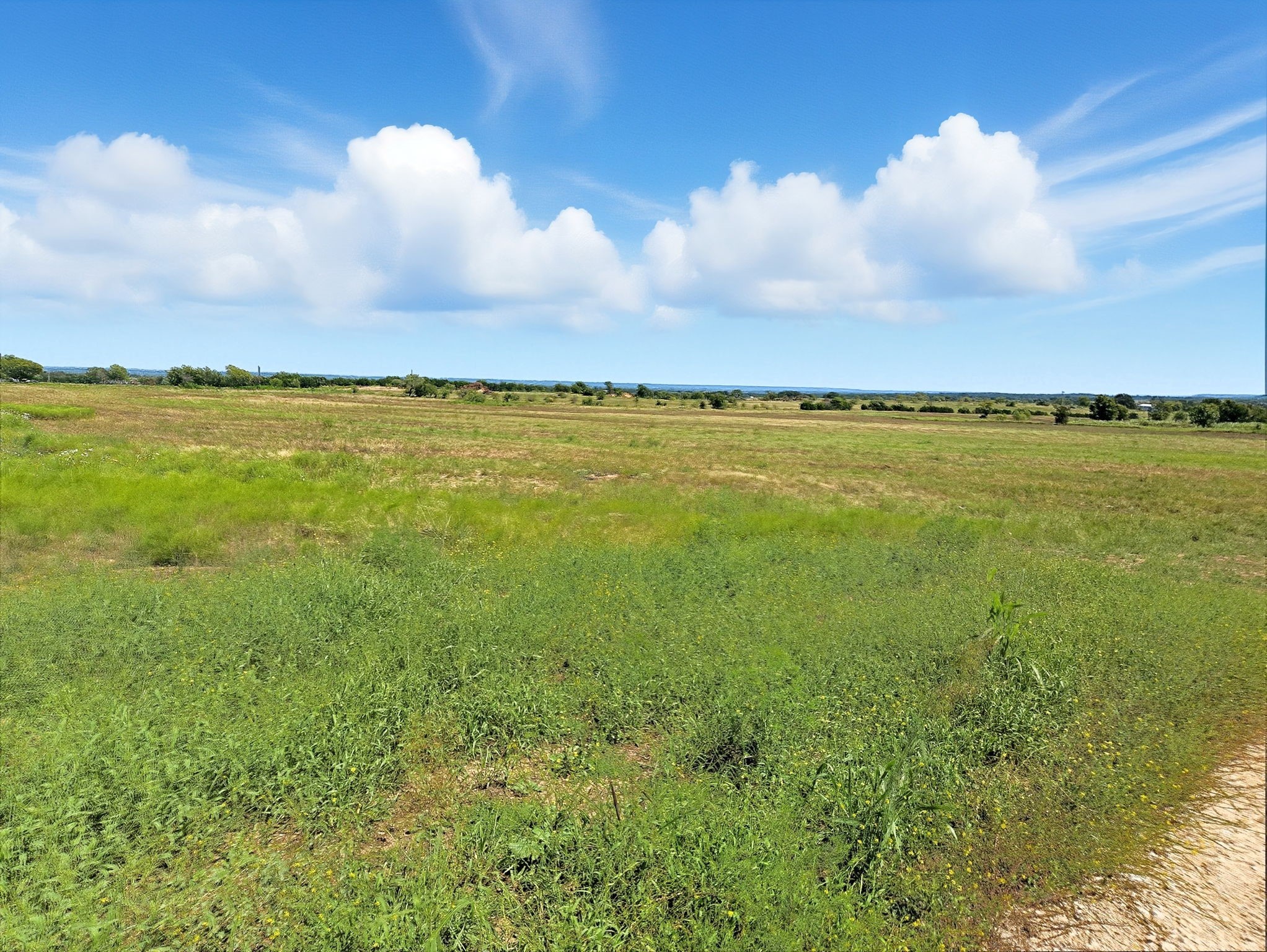 TBD-196.5 Acres Fm 116 Road Gatesville TX 76528