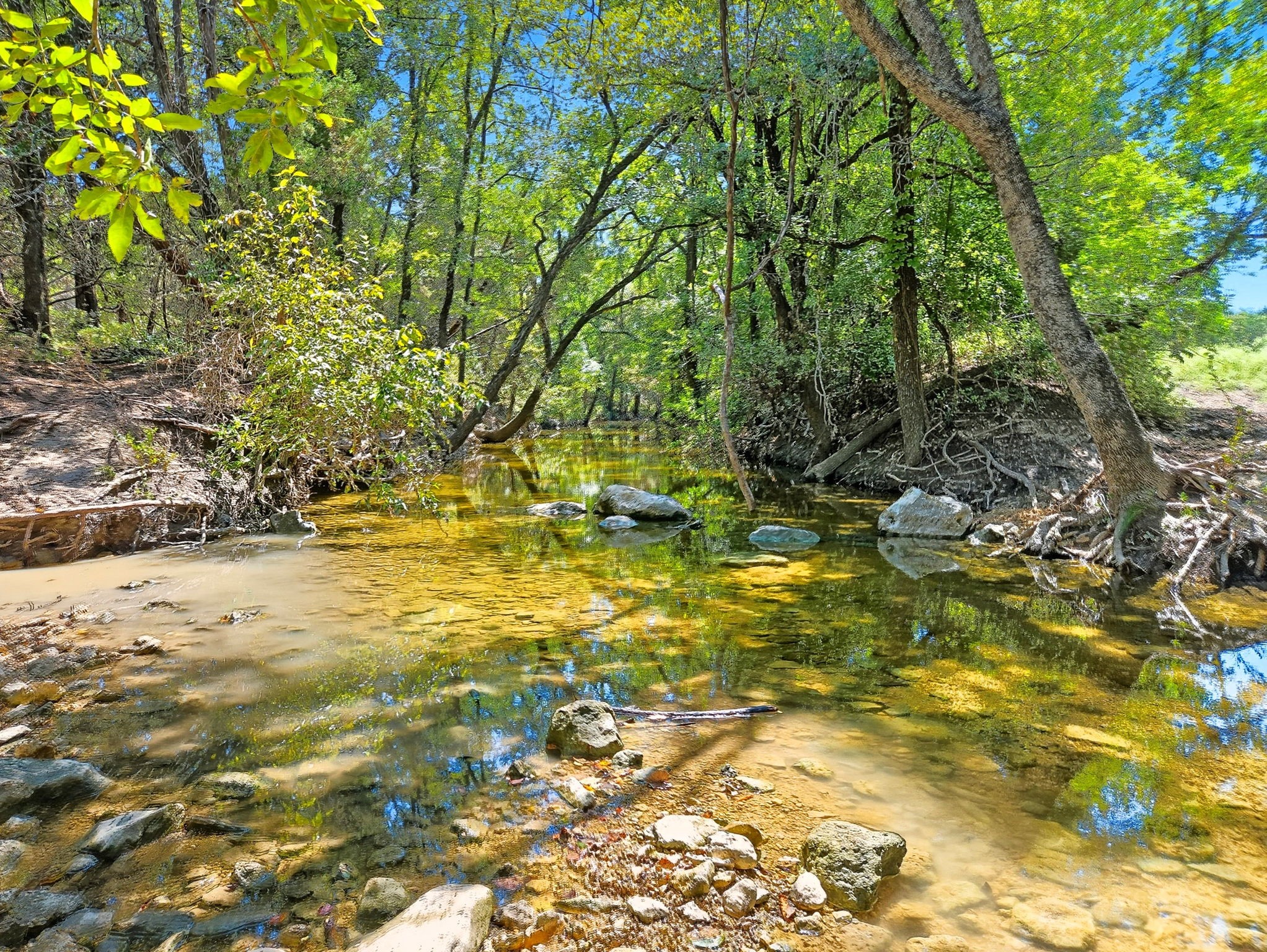 TBD-196.5 Acres Fm 116 Road Gatesville TX 76528