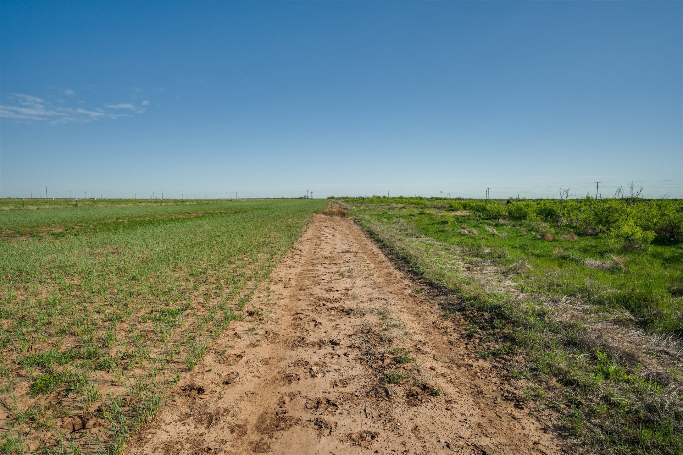 Tbd Fm 1739 Electra TX 76360