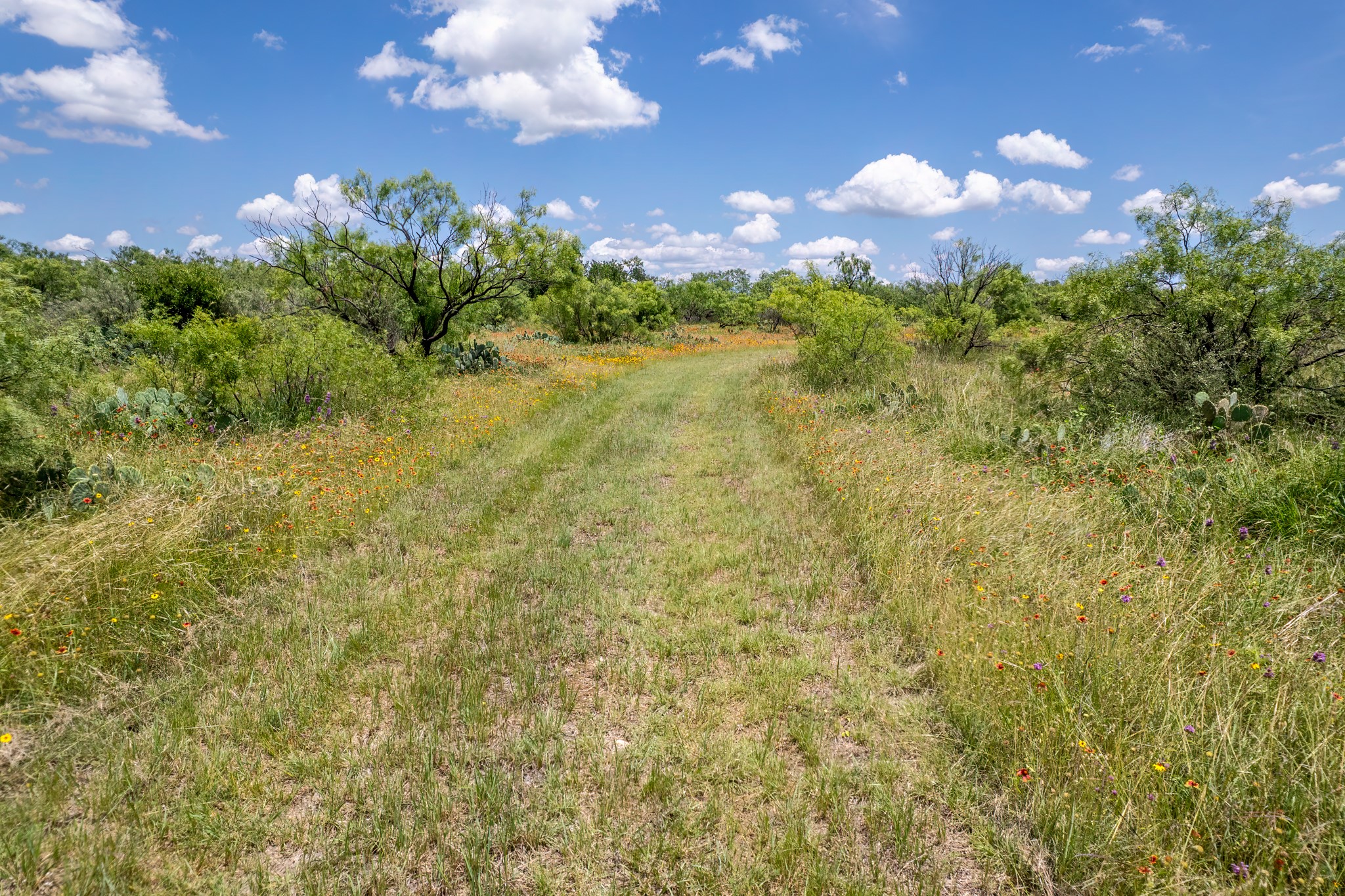 1171 County Road 315 Gouldbusk TX 76845