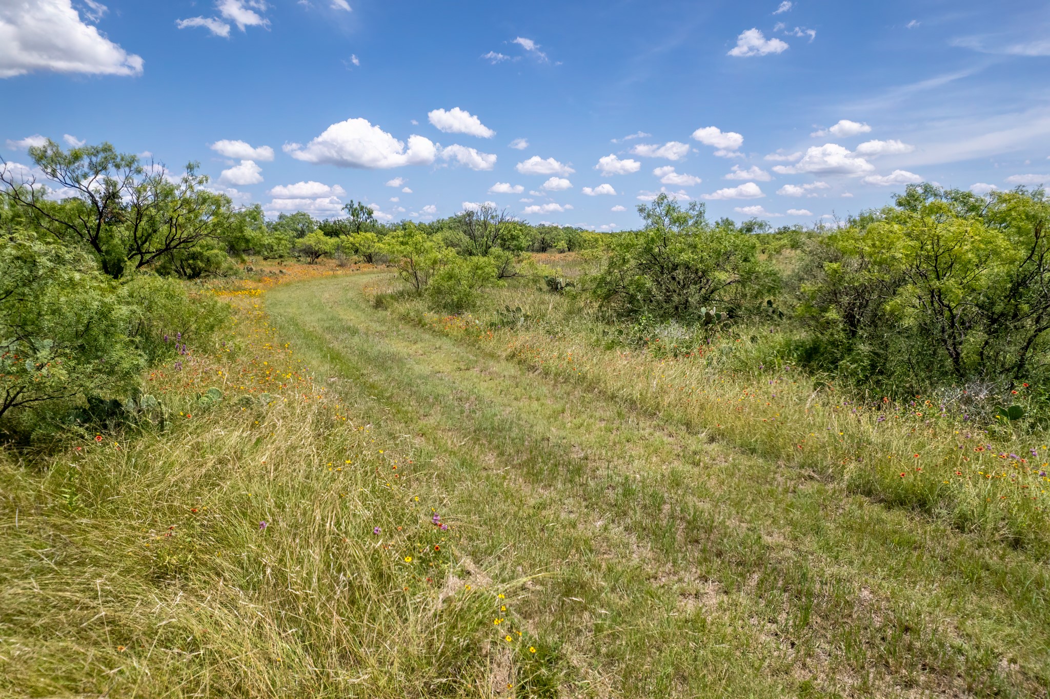1171 County Road 315 Gouldbusk TX 76845