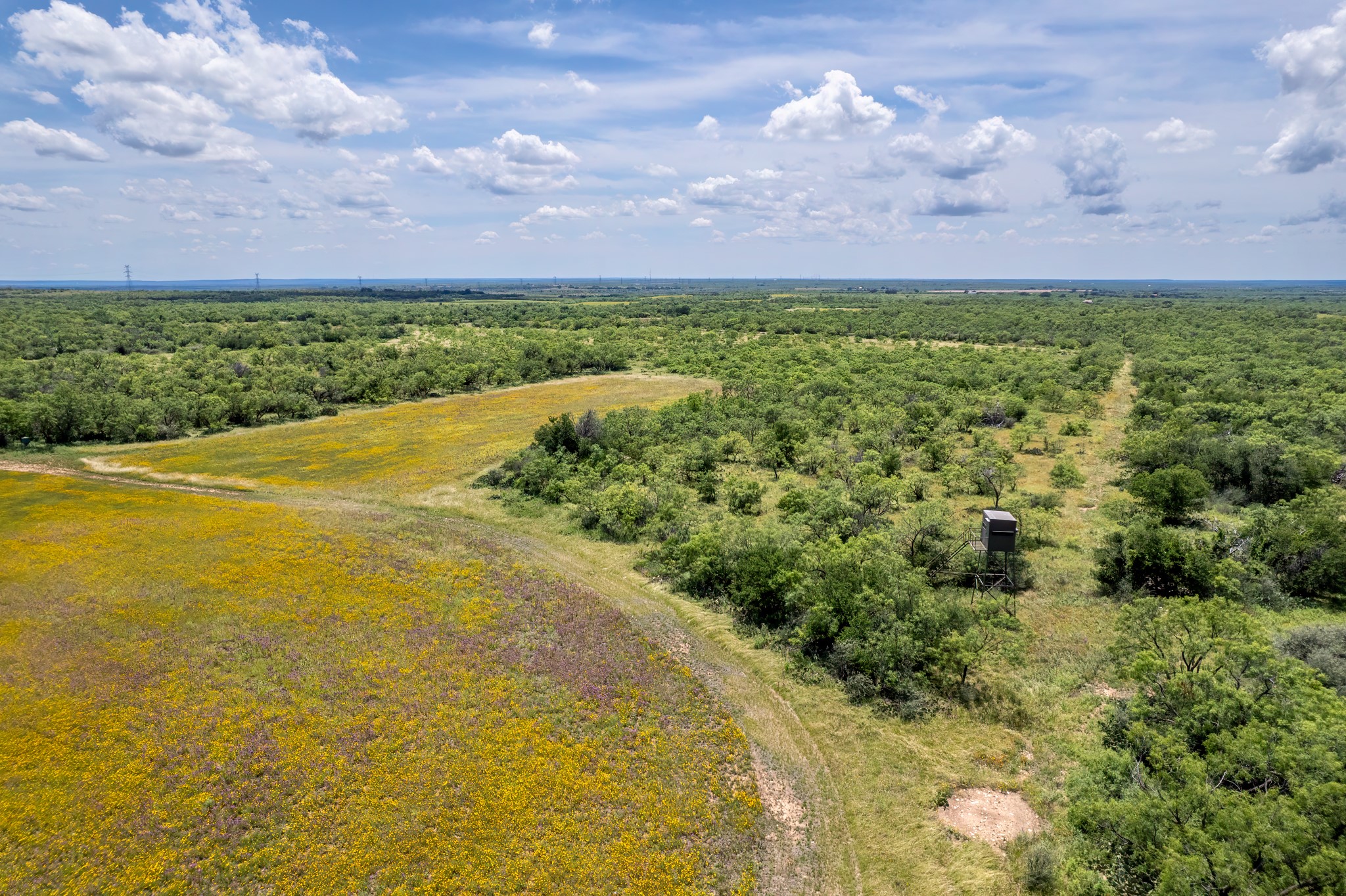 1171 County Road 315 Gouldbusk TX 76845