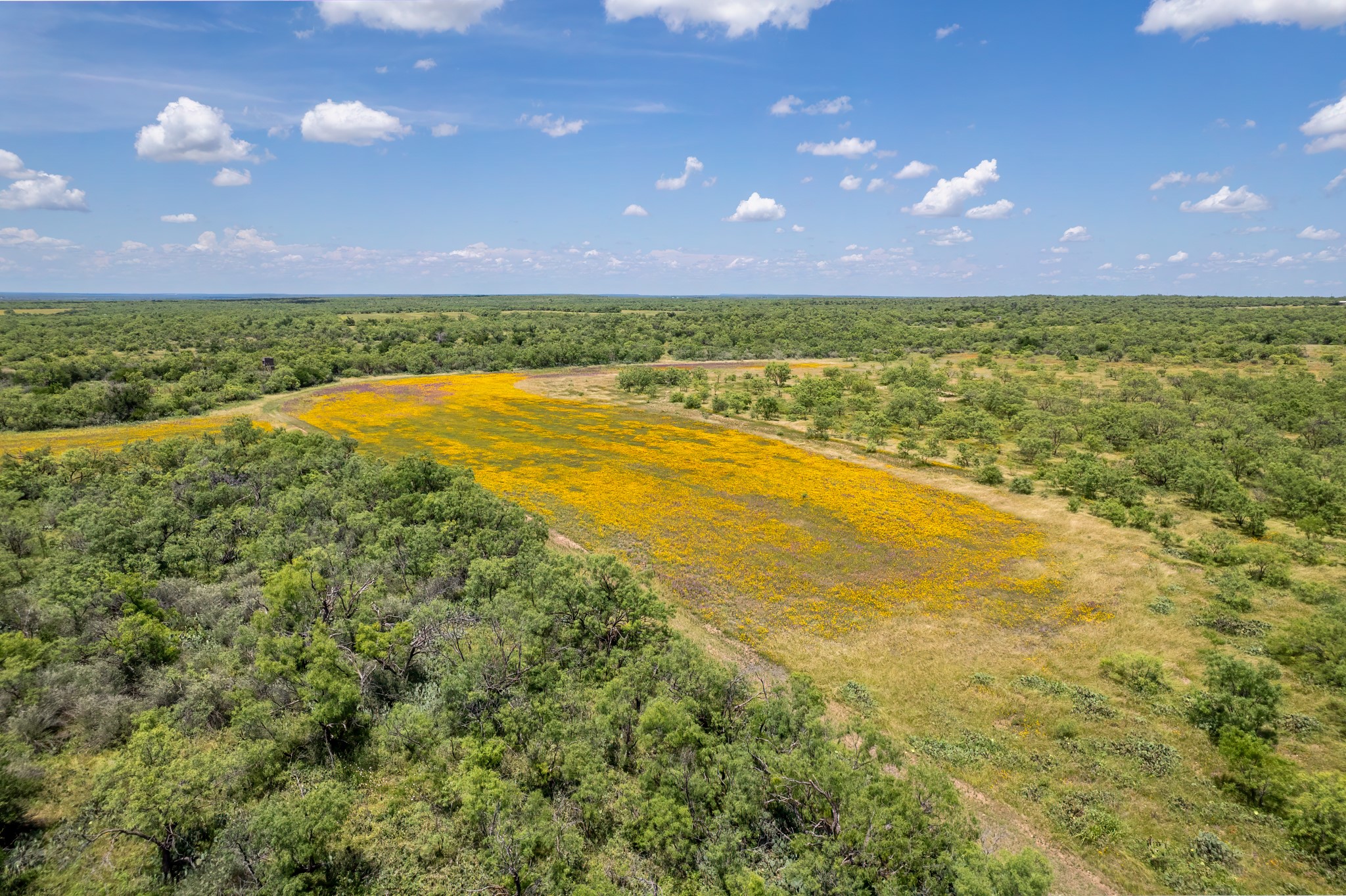 1171 County Road 315 Gouldbusk TX 76845