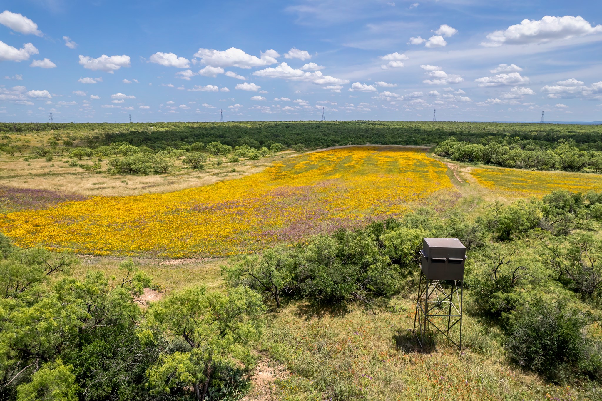 1171 County Road 315 Gouldbusk TX 76845