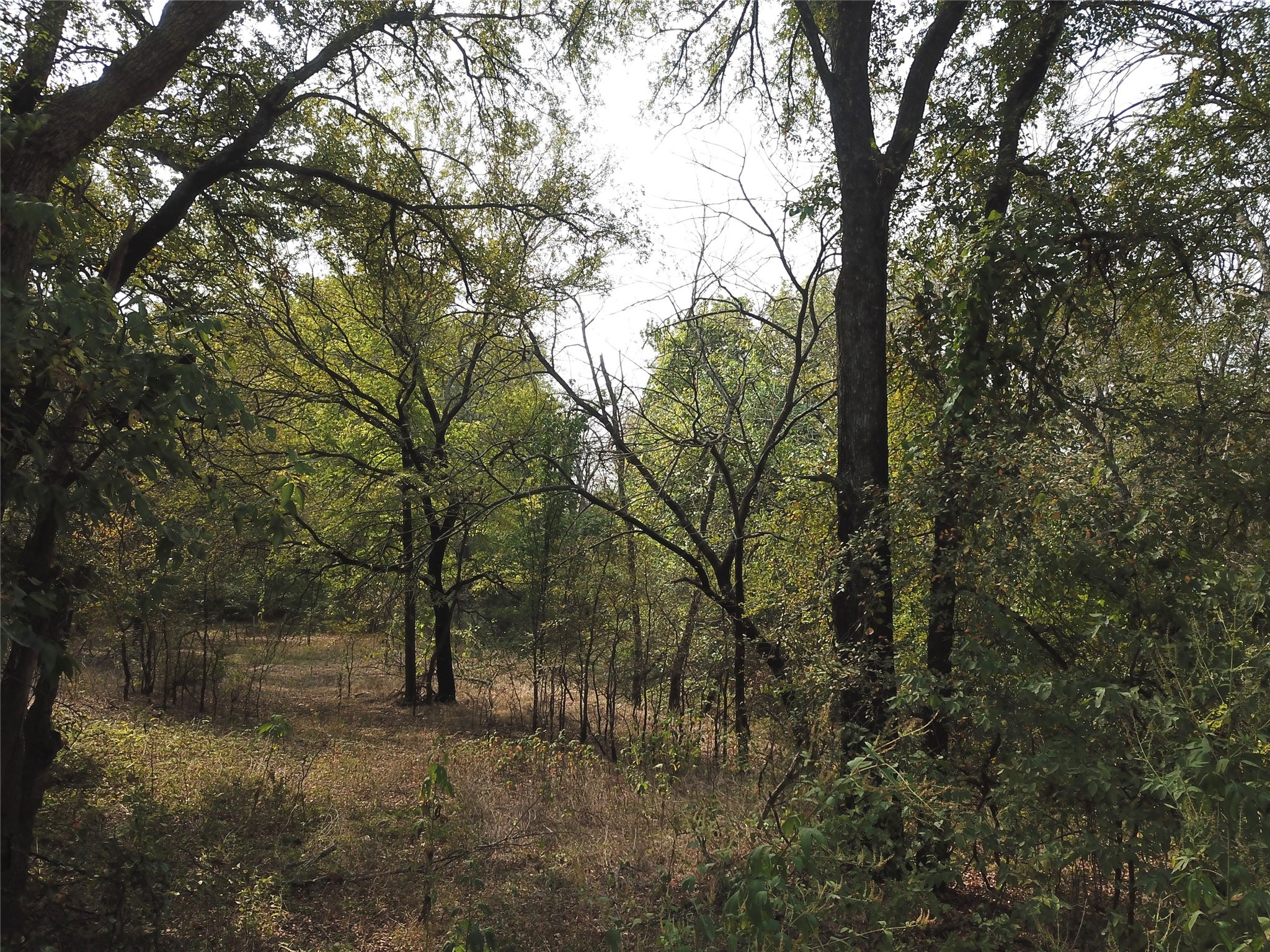 00000 Hudson Drive Valley View TX 76272
