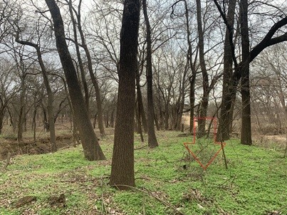 00000 Hudson Drive Valley View TX 76272