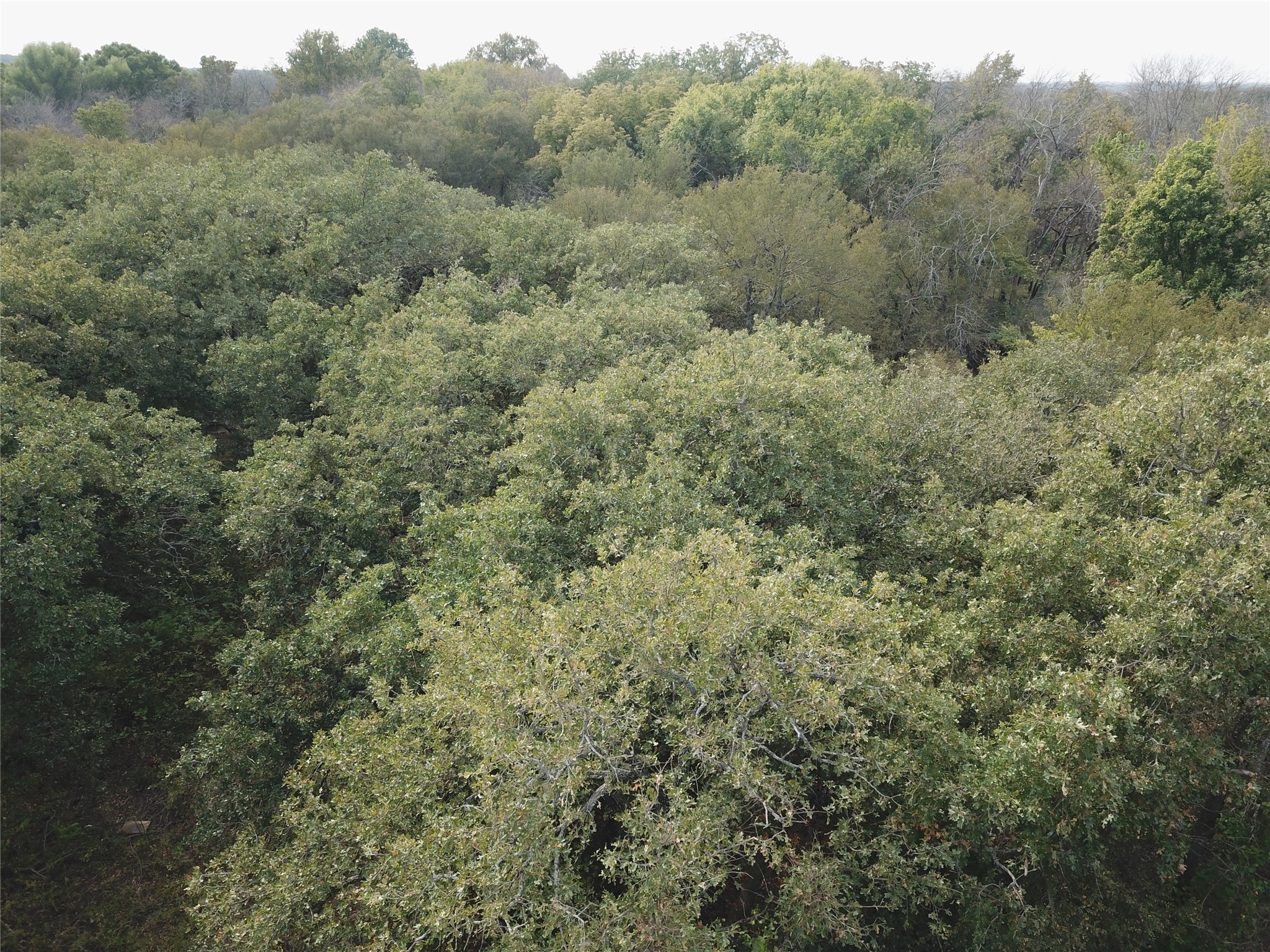 00000 Hudson Drive Valley View TX 76272