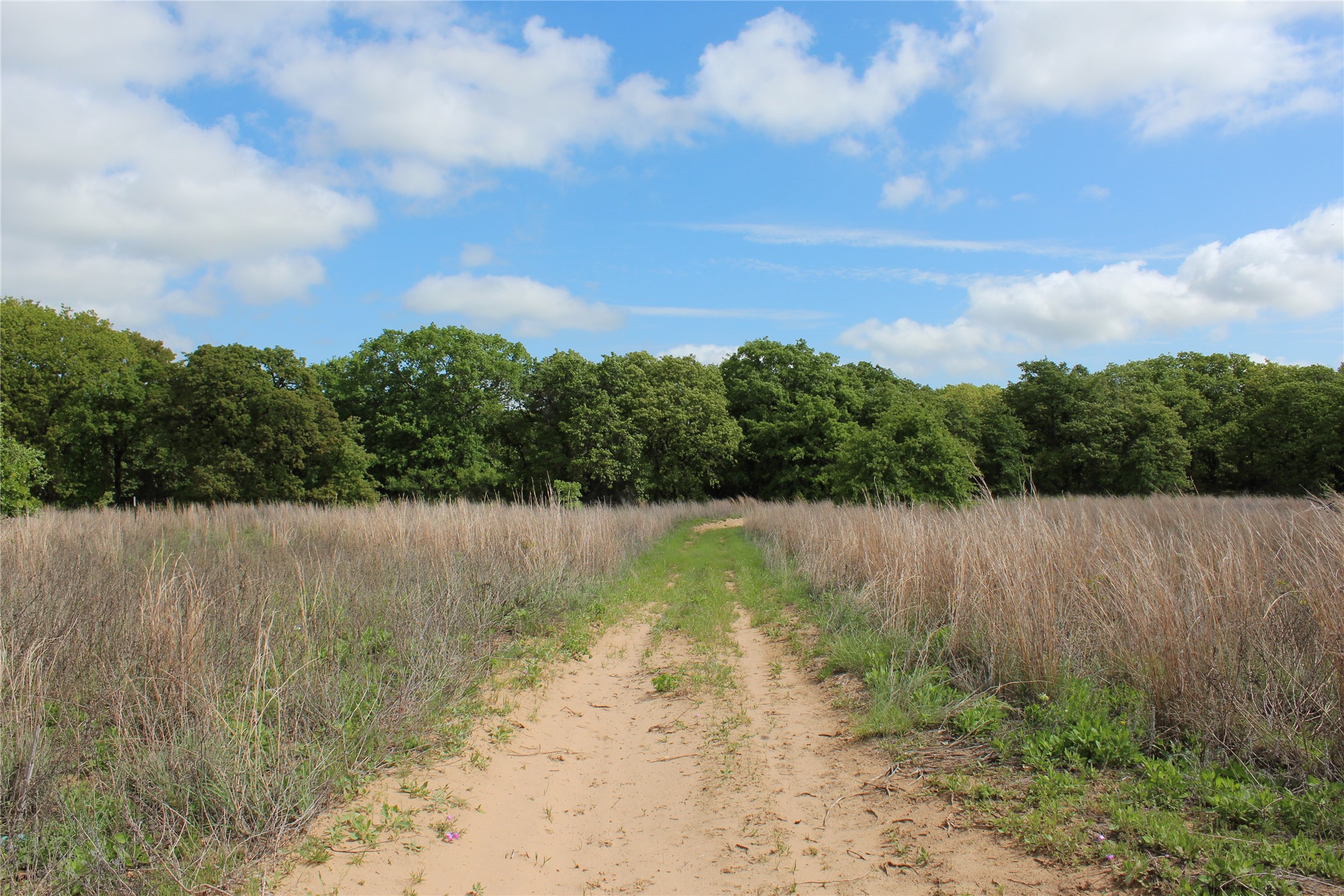 190 Cr 4774 Boyd TX 76023