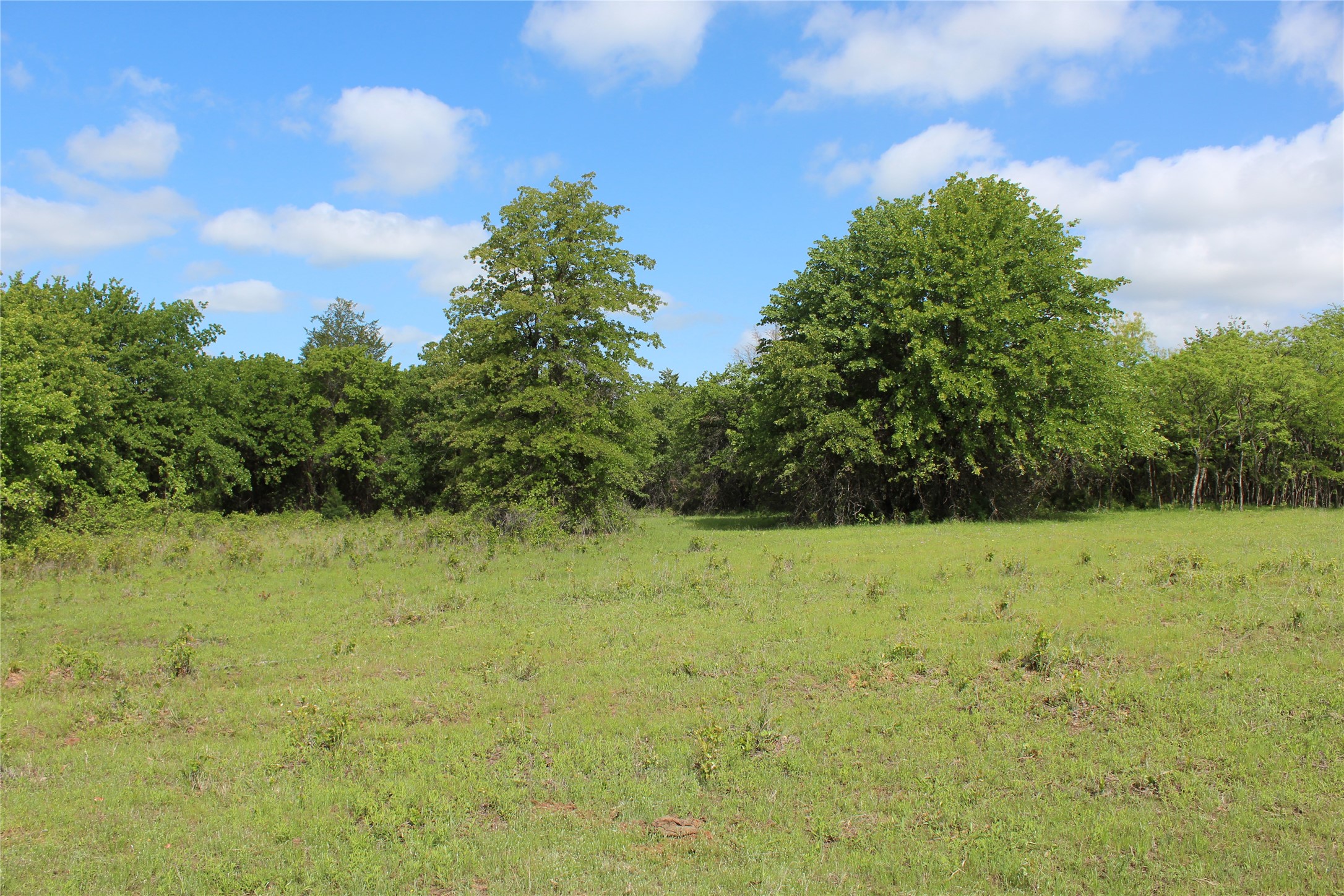 190 Cr 4774 Boyd TX 76023