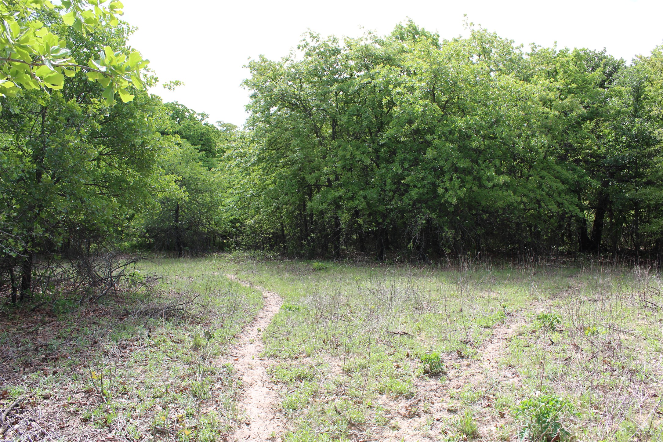 190 Cr 4774 Boyd TX 76023