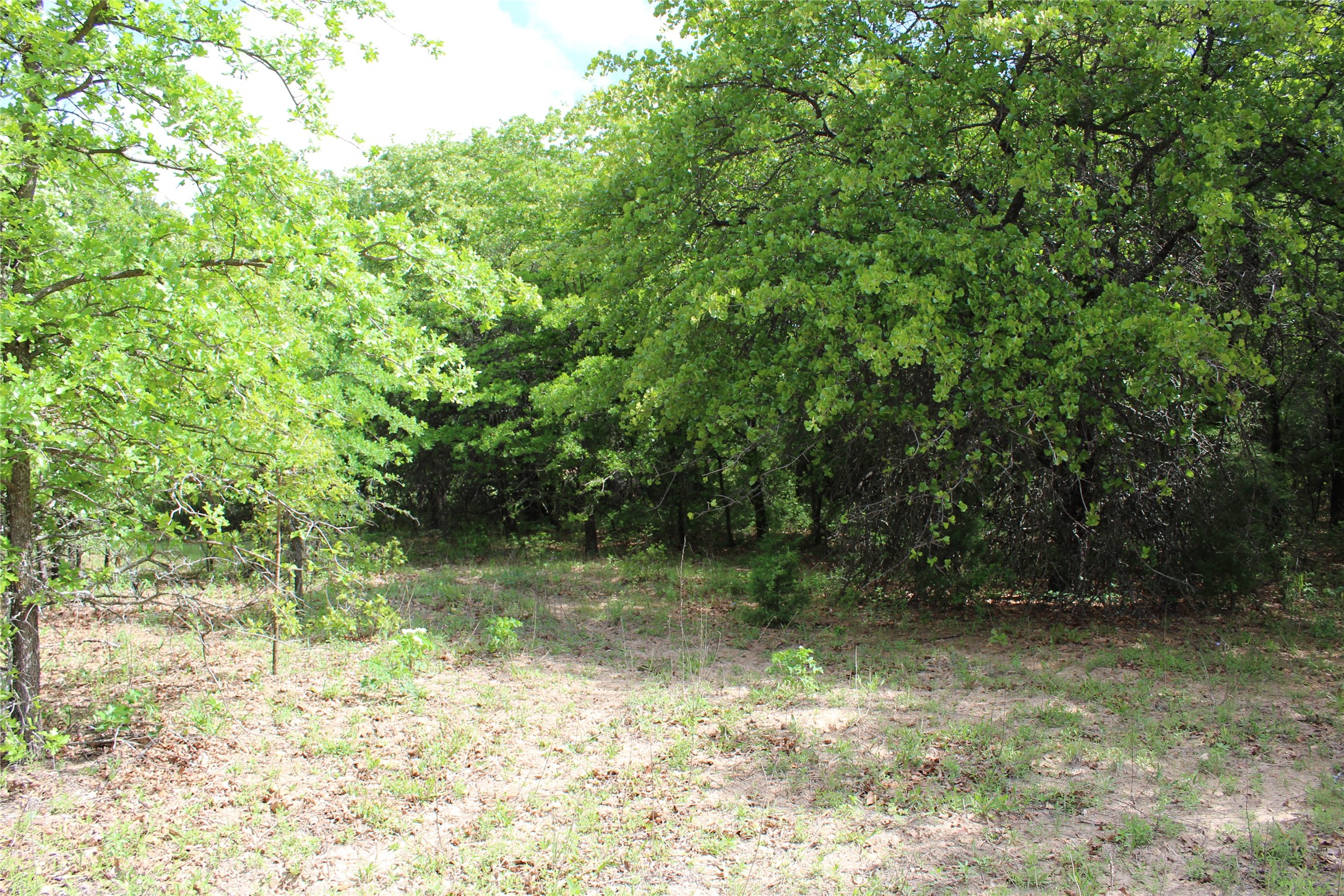 190 Cr 4774 Boyd TX 76023