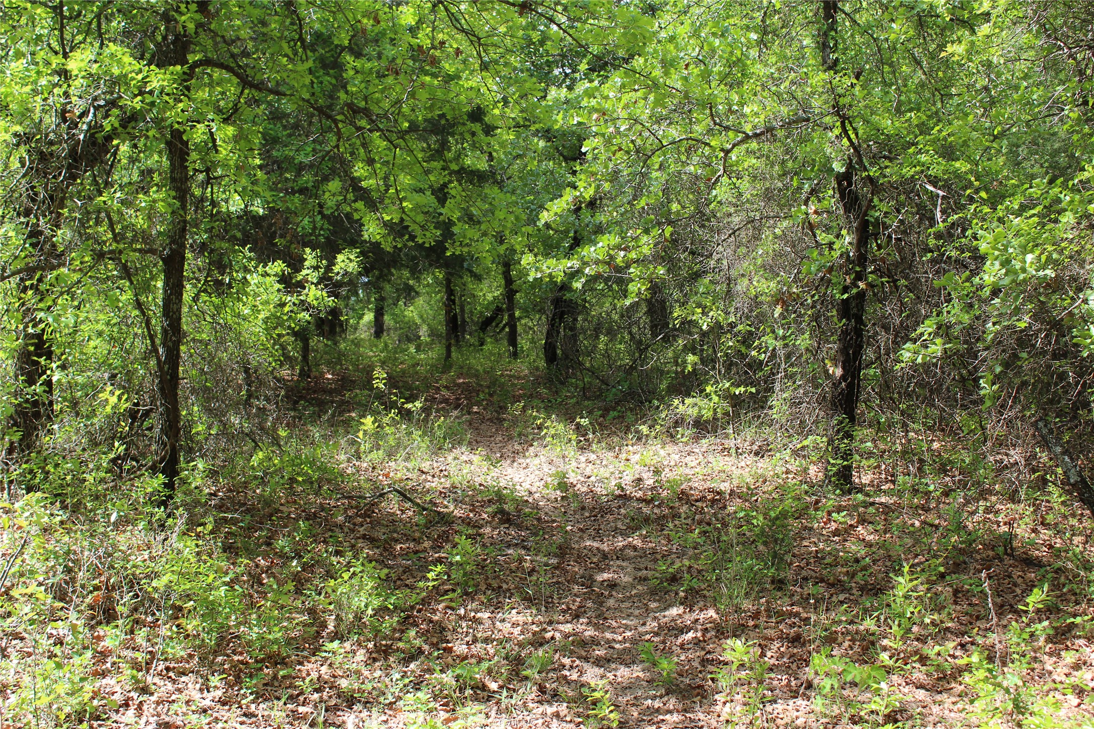 190 Cr 4774 Boyd TX 76023