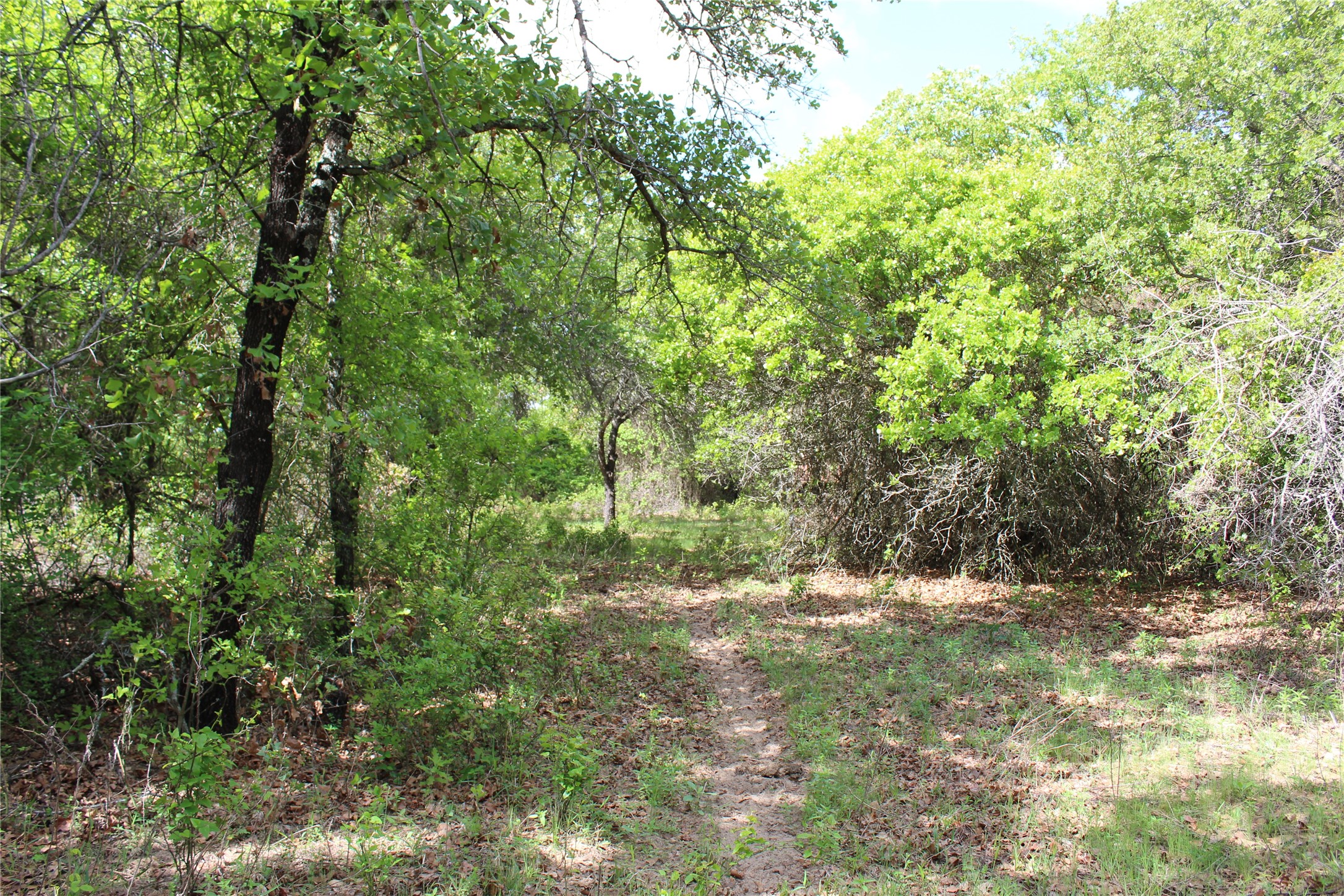 190 Cr 4774 Boyd TX 76023