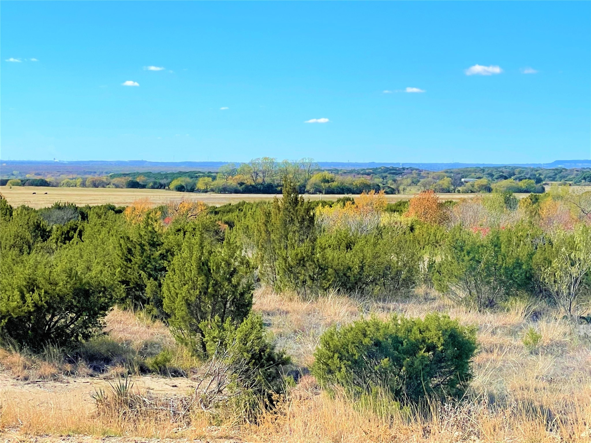 12621 Sue Lane Godley TX 76044