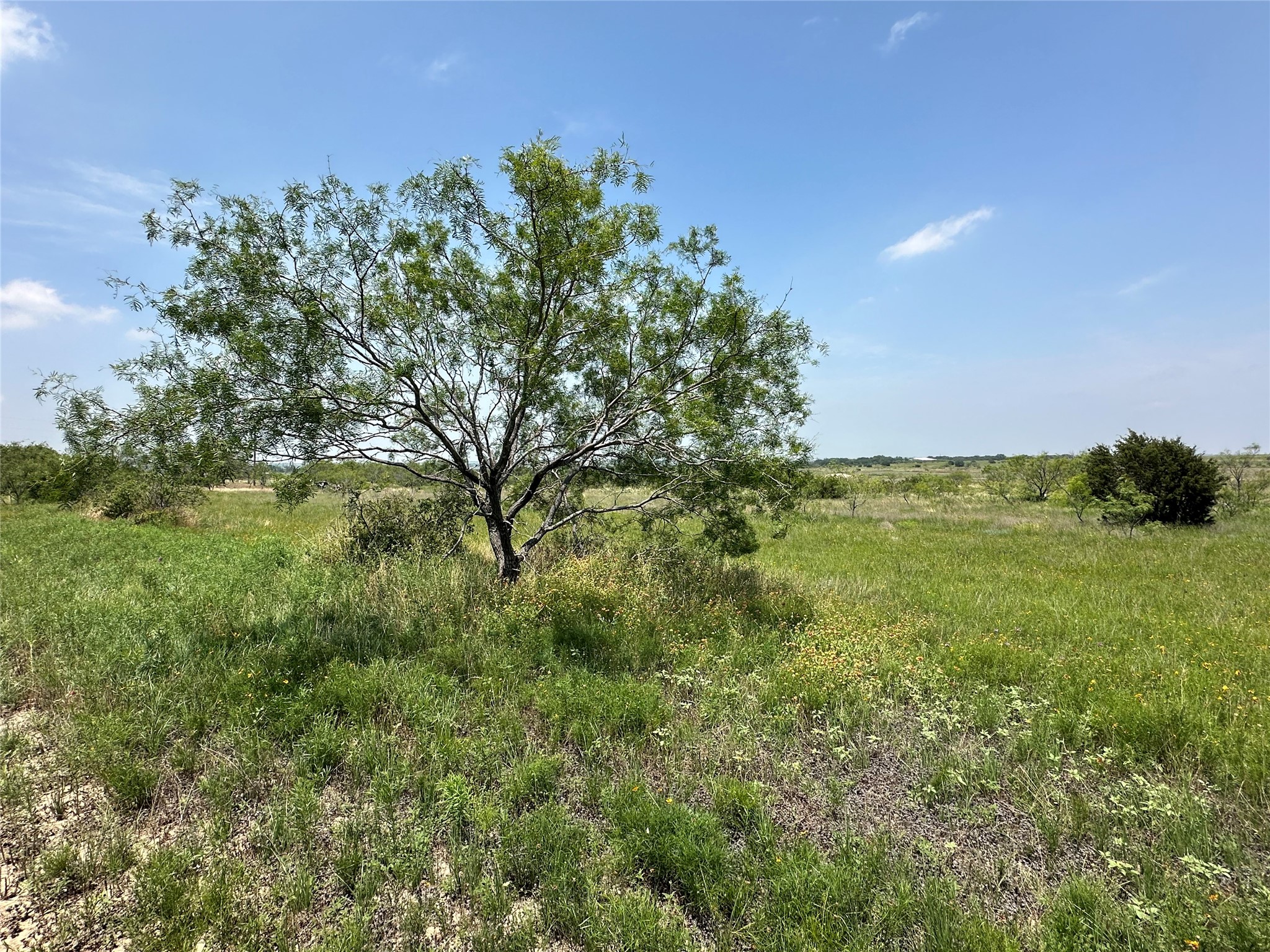 TBD2 Cr 614 Hamilton TX 76531