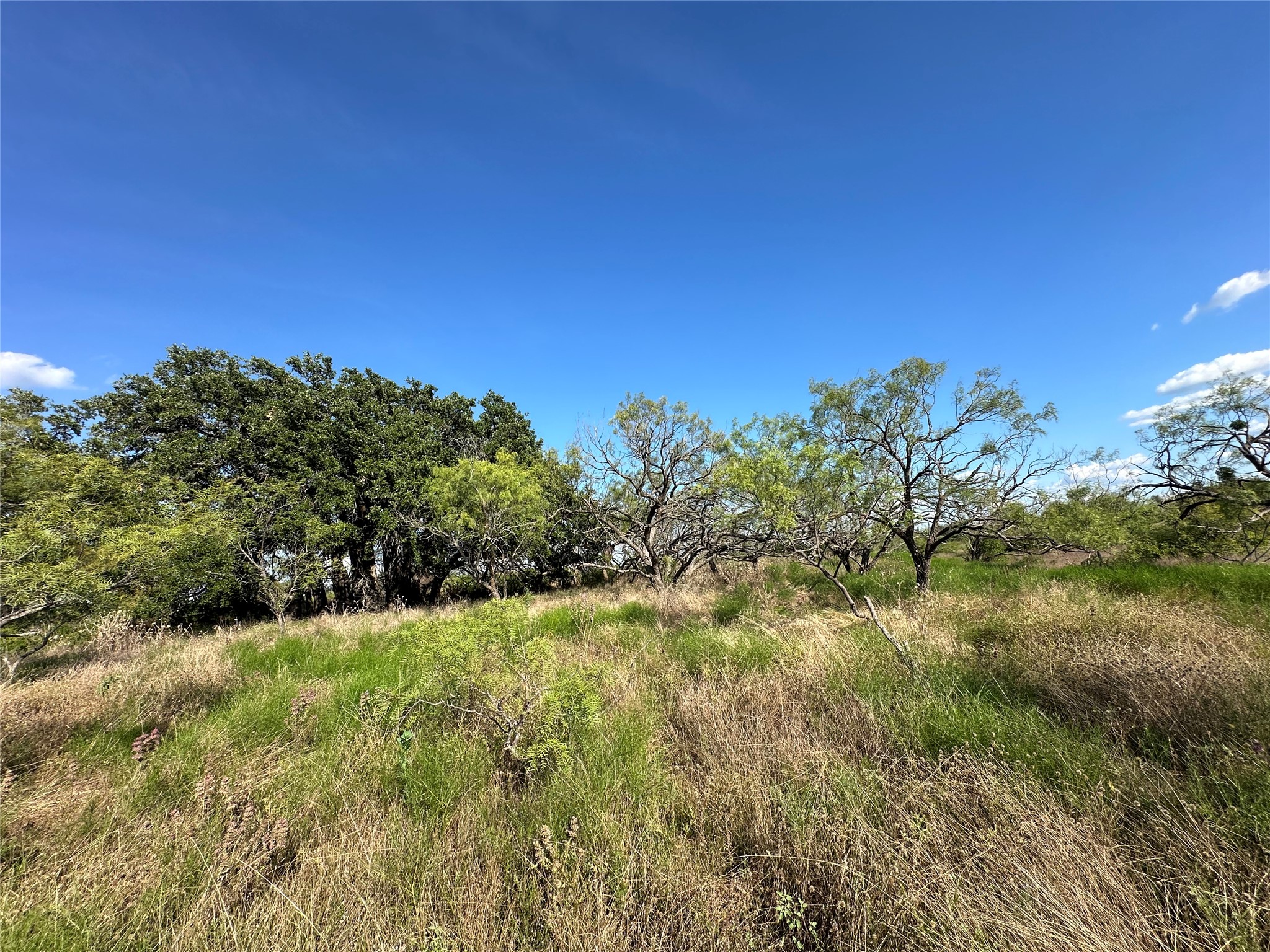 TBD2 Cr 614 Hamilton TX 76531