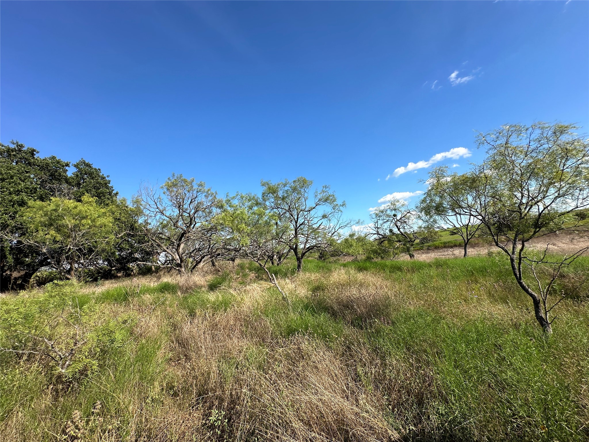 TBD2 Cr 614 Hamilton TX 76531