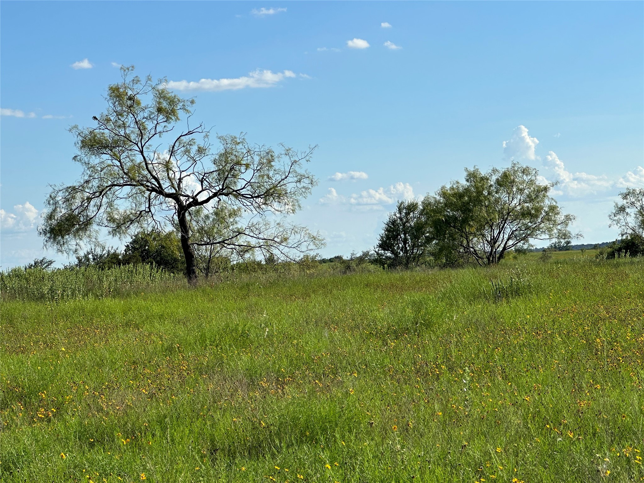 TBD2 Cr 614 Hamilton TX 76531