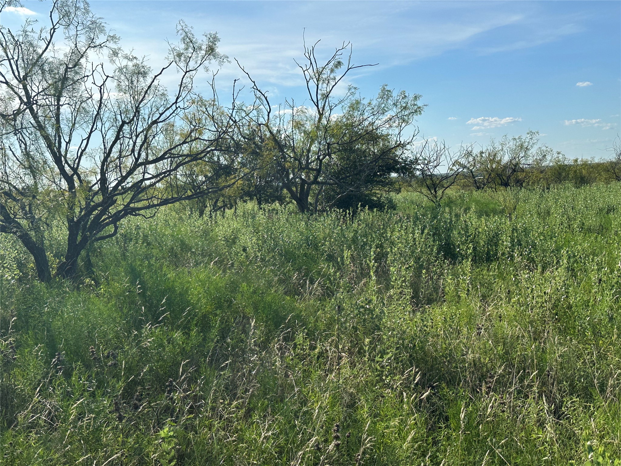 TBD2 Cr 614 Hamilton TX 76531